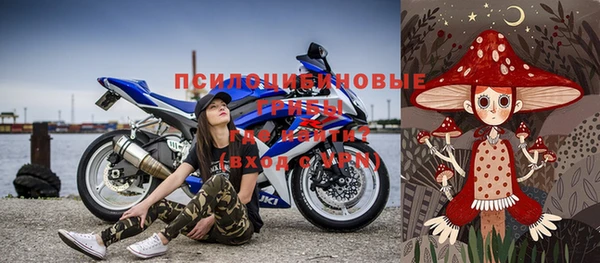 эйфоретик Алзамай