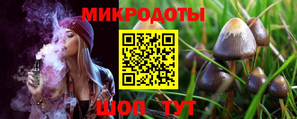 закладки  Вход с VPN  Ипатово  Галлюциногенные грибы MAGIC MUSHROOMS  Псилоцибиновые грибы Magic Shrooms 